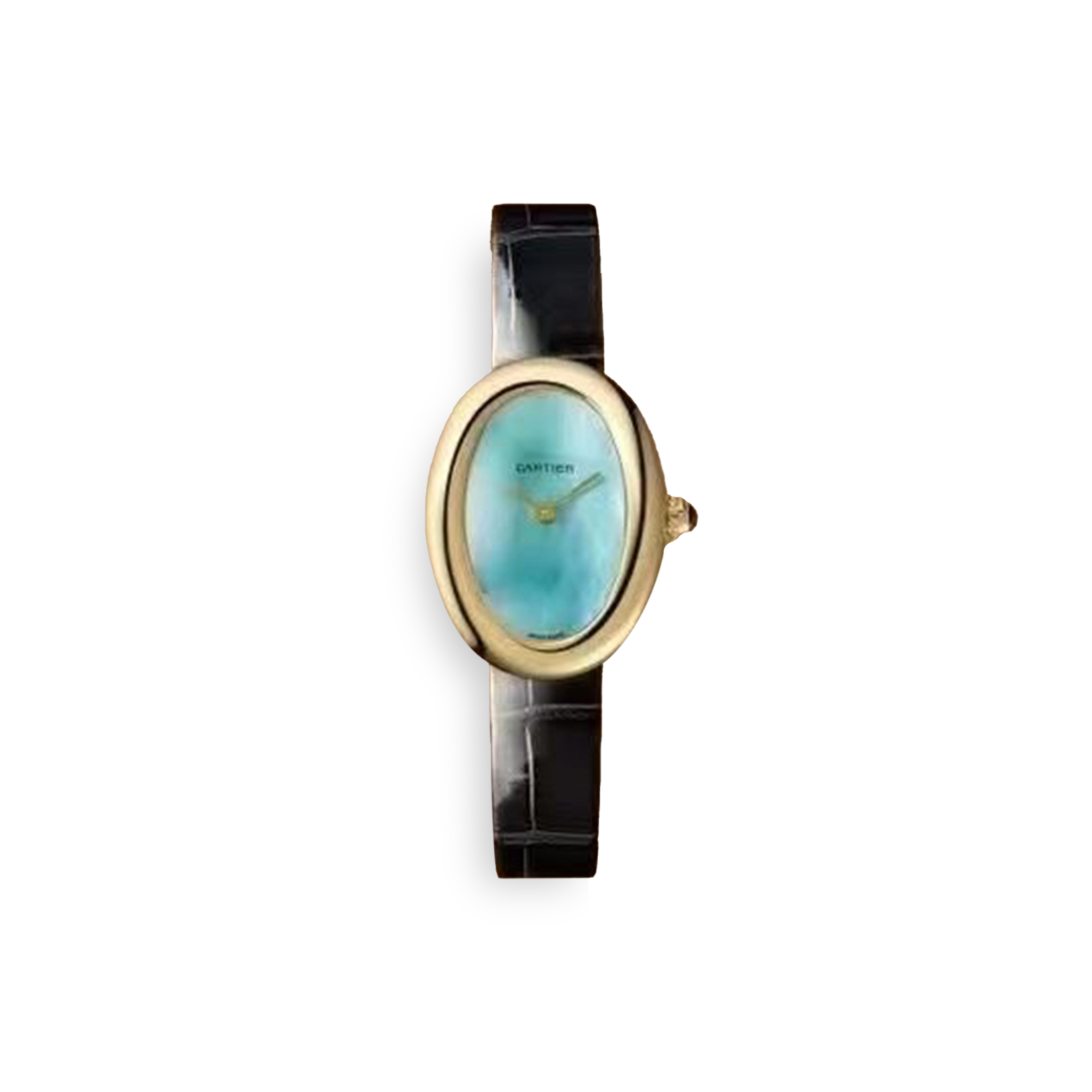 Ca*t*er baignoire watch c05v4